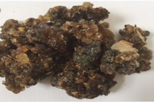 Frankincense from Kenya
